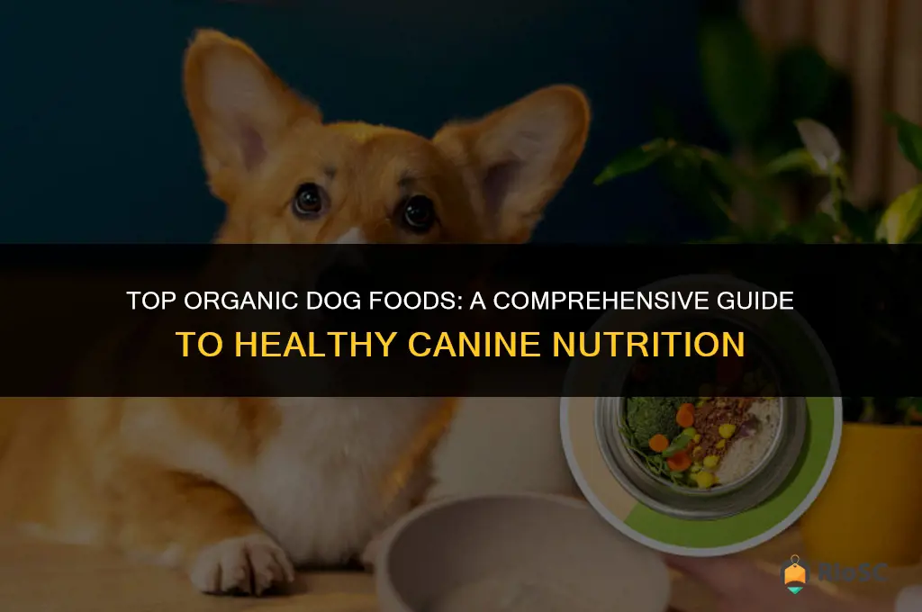 10 best organic dog foods