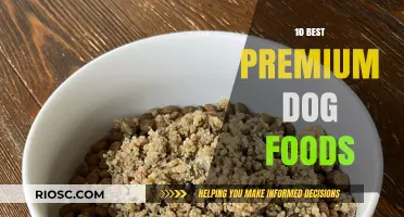 Top-Rated Premium Dog Foods: A Comprehensive Guide to the Best Choices for Your Canine Companion