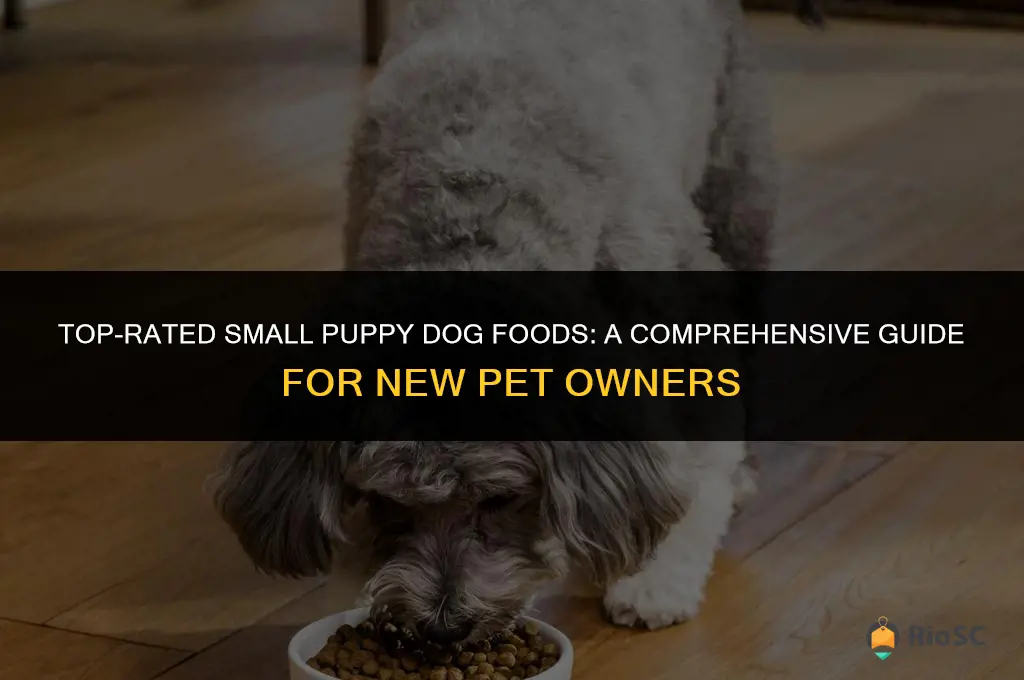 10 best small puppy dog foods