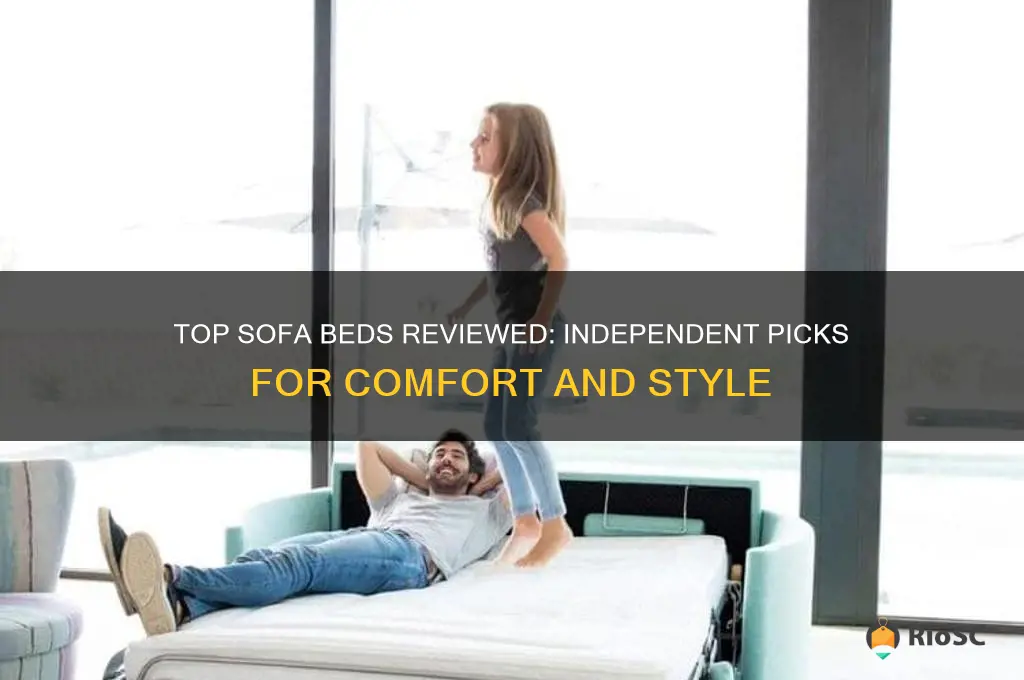 10 best sofa beds independent