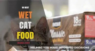 Top-Rated Wet Cat Foods: A Comprehensive Guide for Feline Nutrition