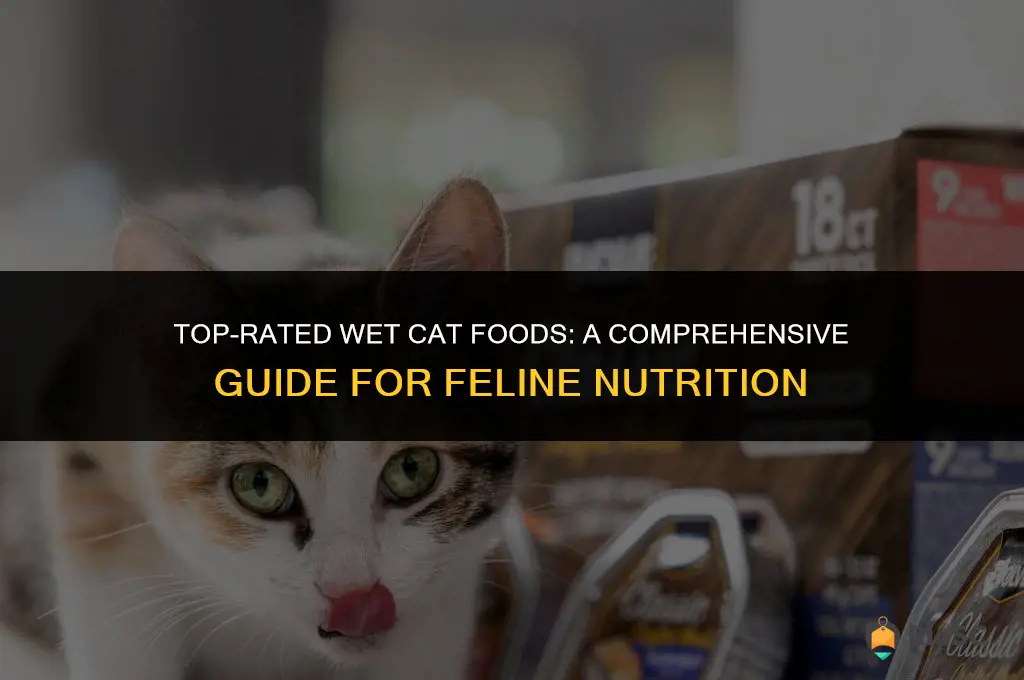10 best wet cat food