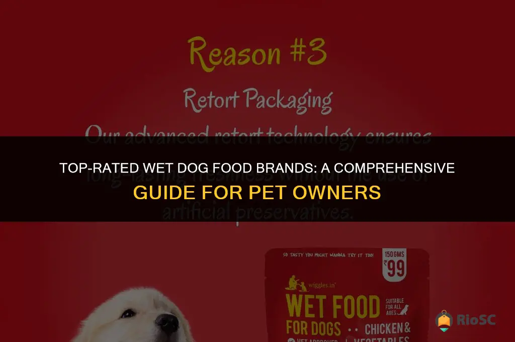 10 best wet dog food brands