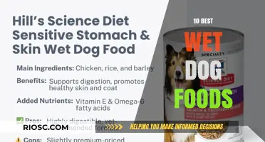 Top-Rated Wet Dog Foods: A Comprehensive Guide to Nutritious and Delicious Options for Your Canine Companion