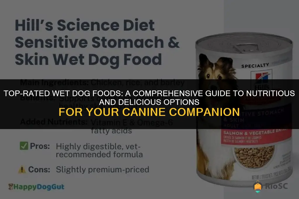 10 best wet dog foods