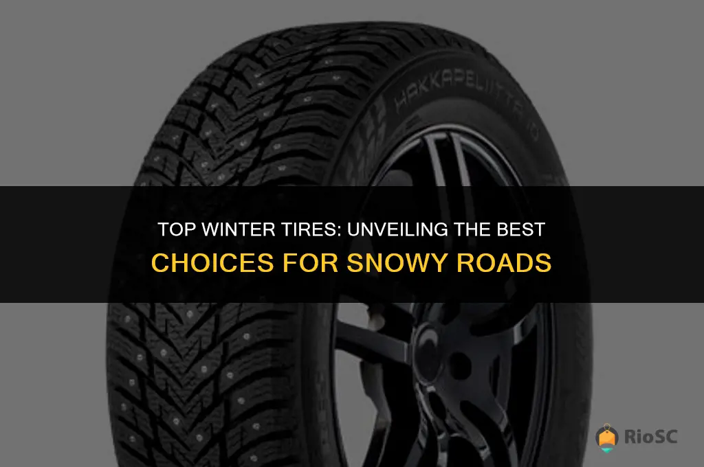 10 best winter tires