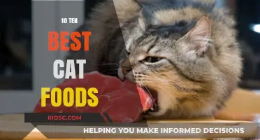Top-Rated Cat Foods: A Comprehensive Guide to Feline Nutrition