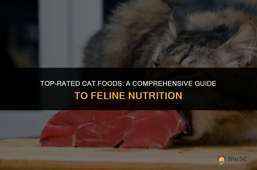 10 ten best cat foods