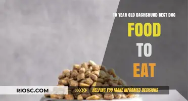 Nutrition for Your Aging Dachshund: The Best Dog Food for a 10-Year-Old