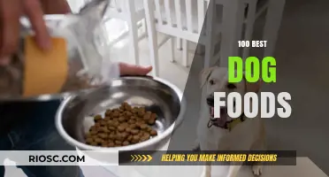 Top-Rated Dog Foods: A Comprehensive Guide to Nutritious Canine Cuisine
