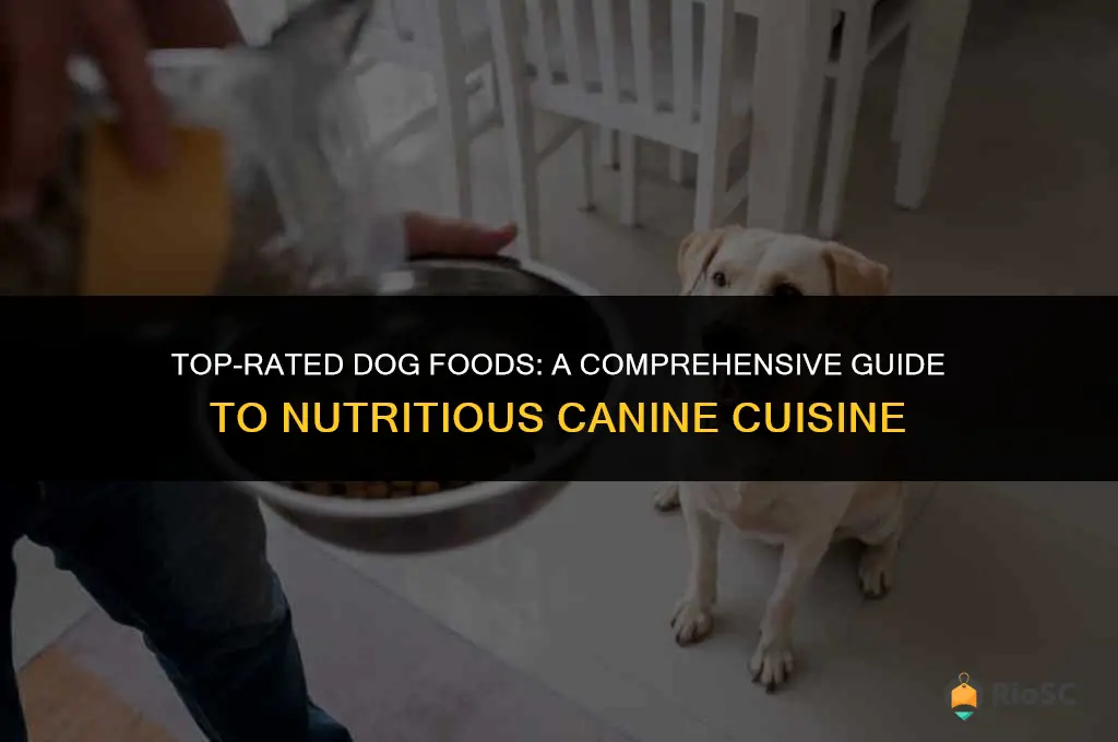 100 best dog foods