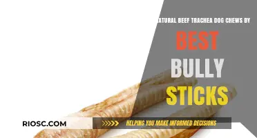 Natural Beef Trachea Dog Chews: A Healthy and Durable Treat Option by Best Bully Sticks