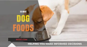 Top-Rated Dog Foods: A Comprehensive Guide to Choosing the Best for Your Furry Friend