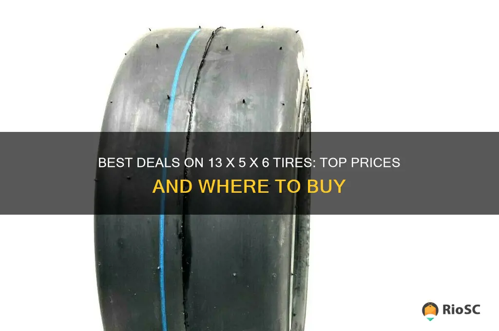 13 x 5 x 6 tires best price