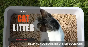 Top Cat Litter Picks: 15 Best Options for a Clean and Happy Feline Home