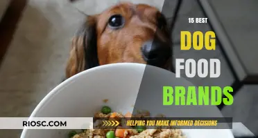 Top-Rated Dog Food Brands: A Comprehensive Guide to Nutritious Options for Your Canine Companion