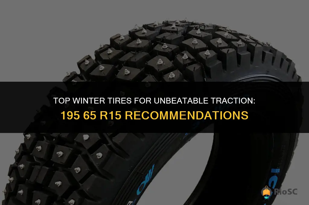 195 65 r15 best winter tires