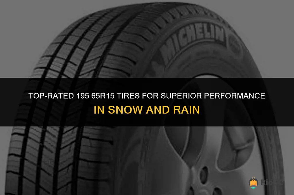 195 65r15 tires best in snow and rain