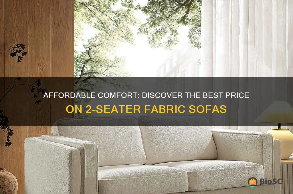 2 seater fabric sofa best price