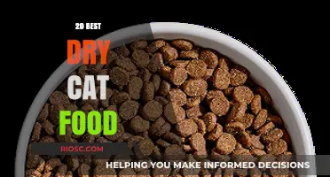 Top Picks for Your Feline Friend: The Best Dry Cat Food Options