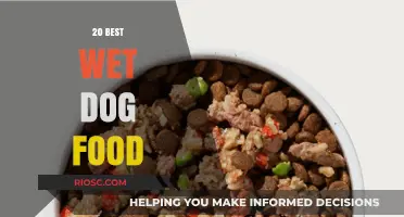 Top Wet Dog Food Picks: Nutrition and Taste Combined