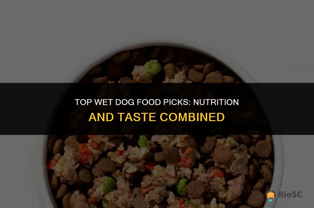 20 best wet dog food