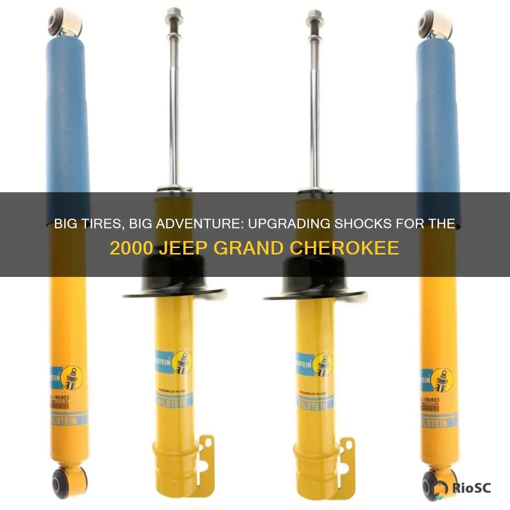 2000 jeep grand cherokee best shocks for big tires