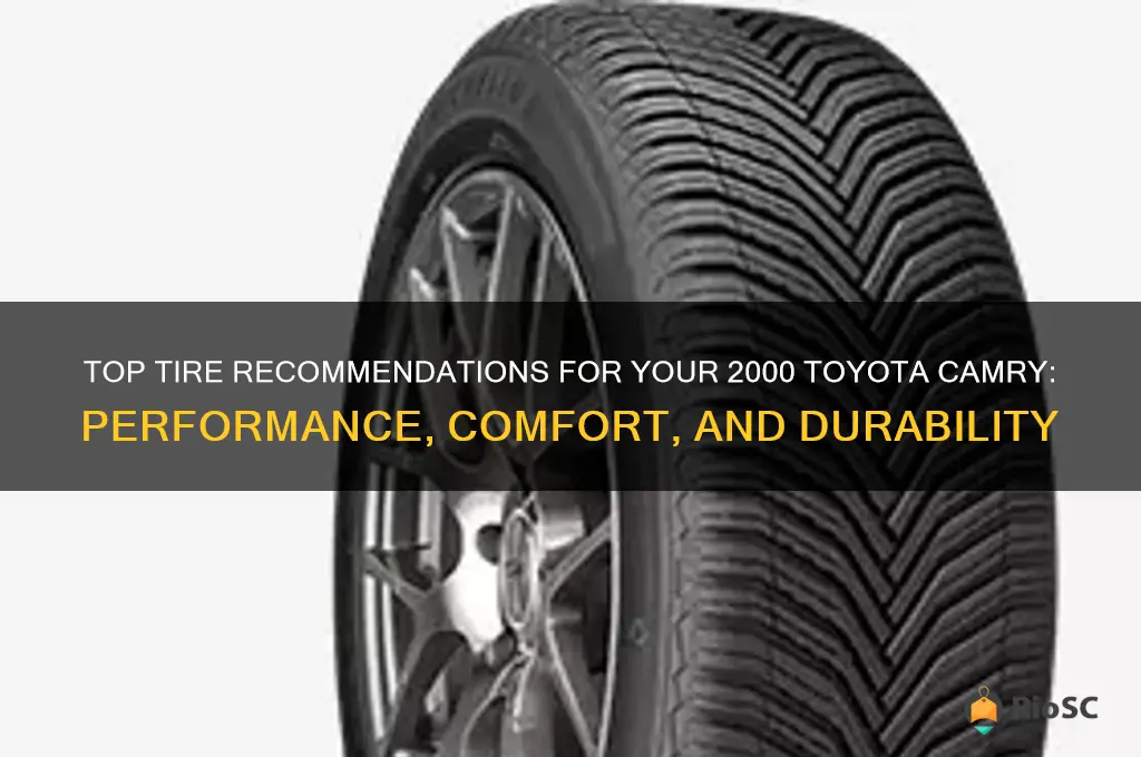 Toyota Camry 2000 Tyre Sizenull