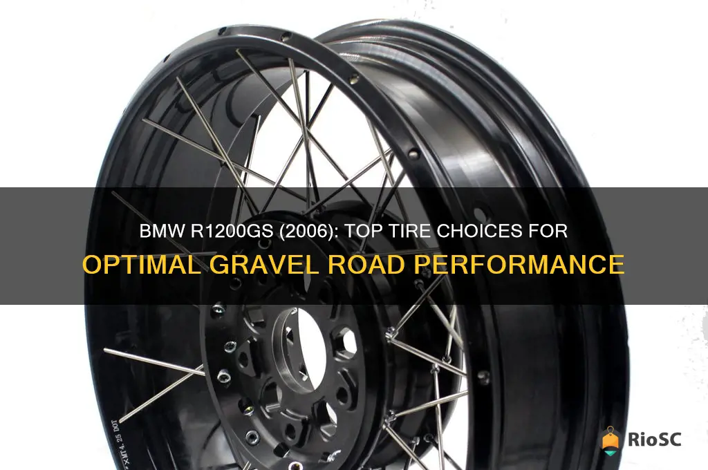 2006 bmw r1200gs best tires for gravel roads