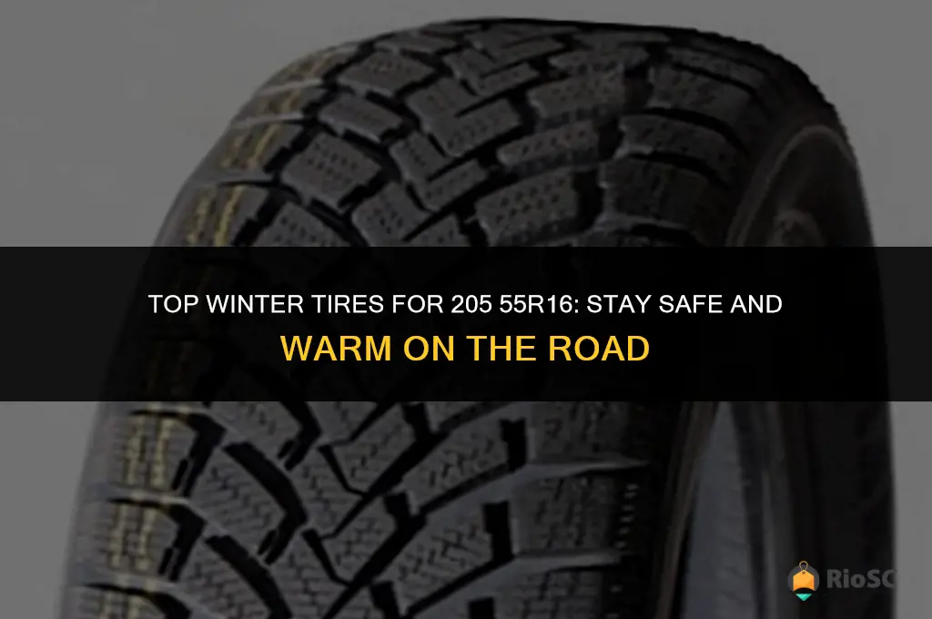 205 55r16 best winter tires