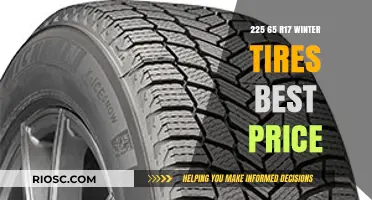 Discover Unbeatable Deals on 225 65 R17 Winter Tires: Your Guide to Staying Safe and Saving Money This Season