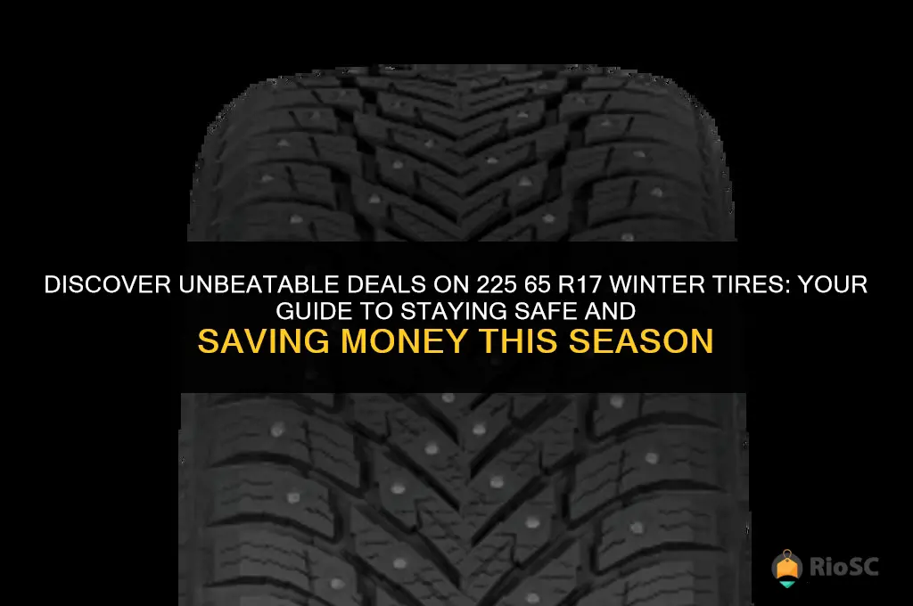 225 65 r17 winter tires best price
