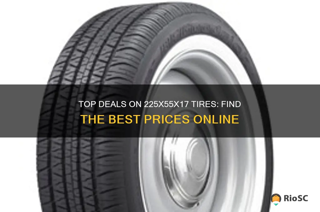 225x55x17 tires best prices
