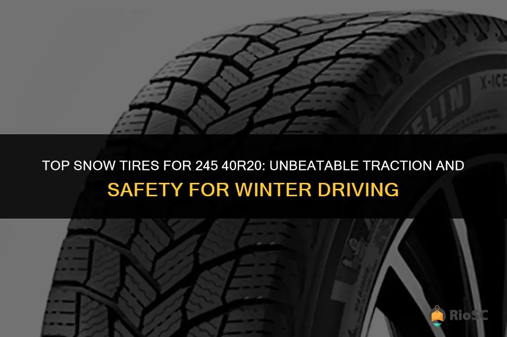 245 40r20 best snow tires