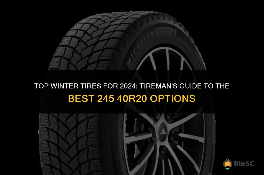 245 40r20 best winter tires tireman