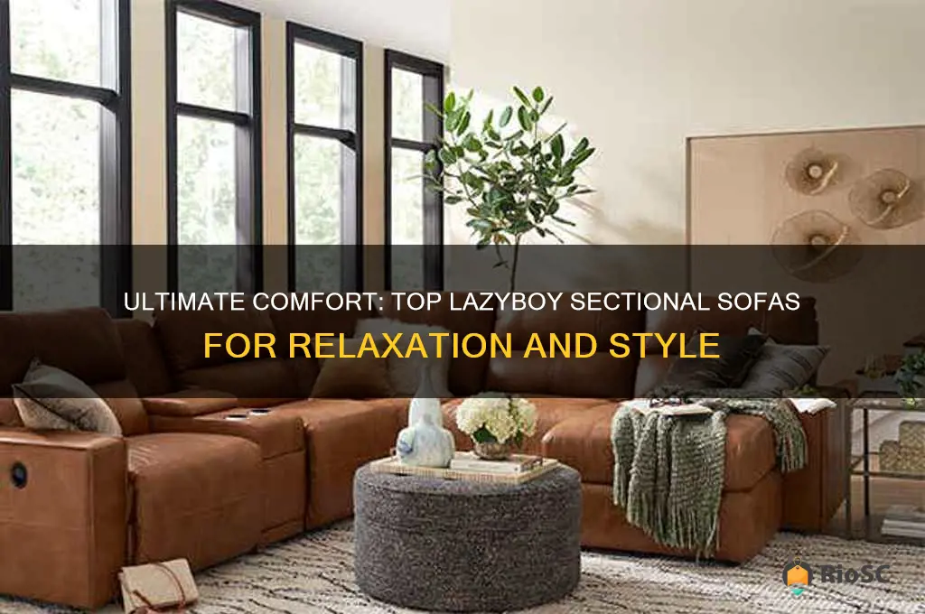 25 the best lazyboy sectional sofa