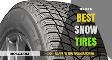 Top Picks for Winter Roads: The Best 255 65r-17 Snow Tires of the Season