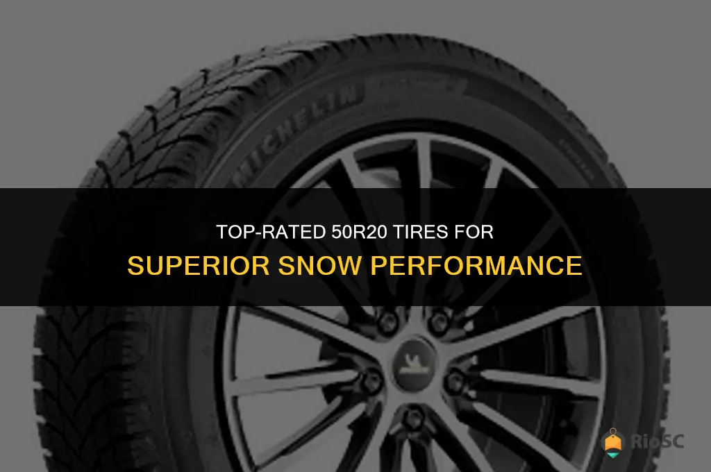 265 50r20 best tires for snow
