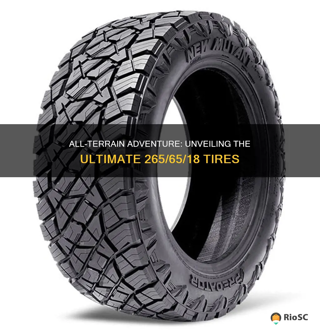 265 65 18 best all terrain tires