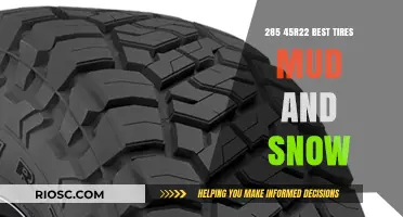Top-Rated 285 45r22 Tires for Mud and Snow: A Comprehensive Guide
