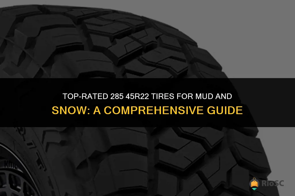 285 45r22 best tires mud and snow