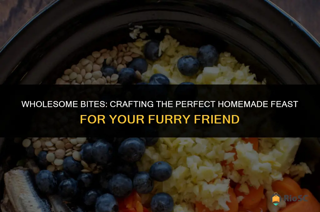 33 best homemade dog food recipes