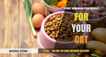Delight Your Feline Friend: Four Easy and Nutritious Homemade Cat Recipes
