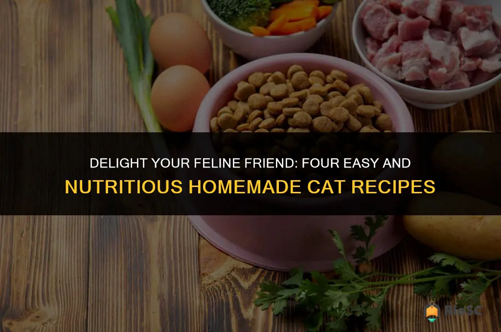 4 best homemade food recipes for your cat