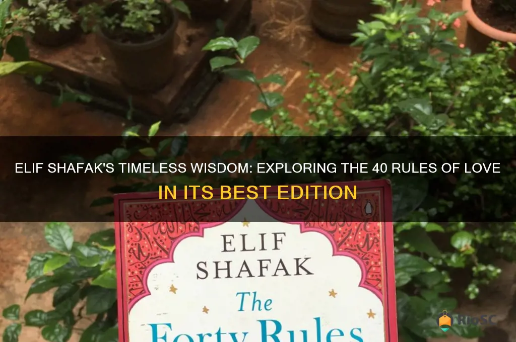 40 rule sof love elif shafak best edition