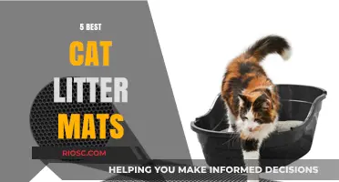 Top Cat Litter Mats to Keep Your Home Clean and Tidy