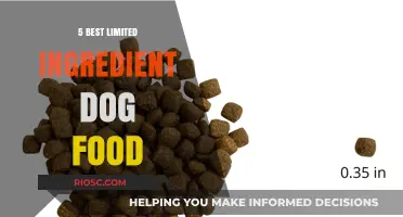 Top Picks for Simple Diets: The Best Limited Ingredient Dog Foods