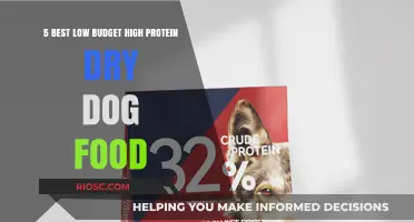 Affordable Nutrition: Top Low-Budget, High-Protein Dry Dog Food Options