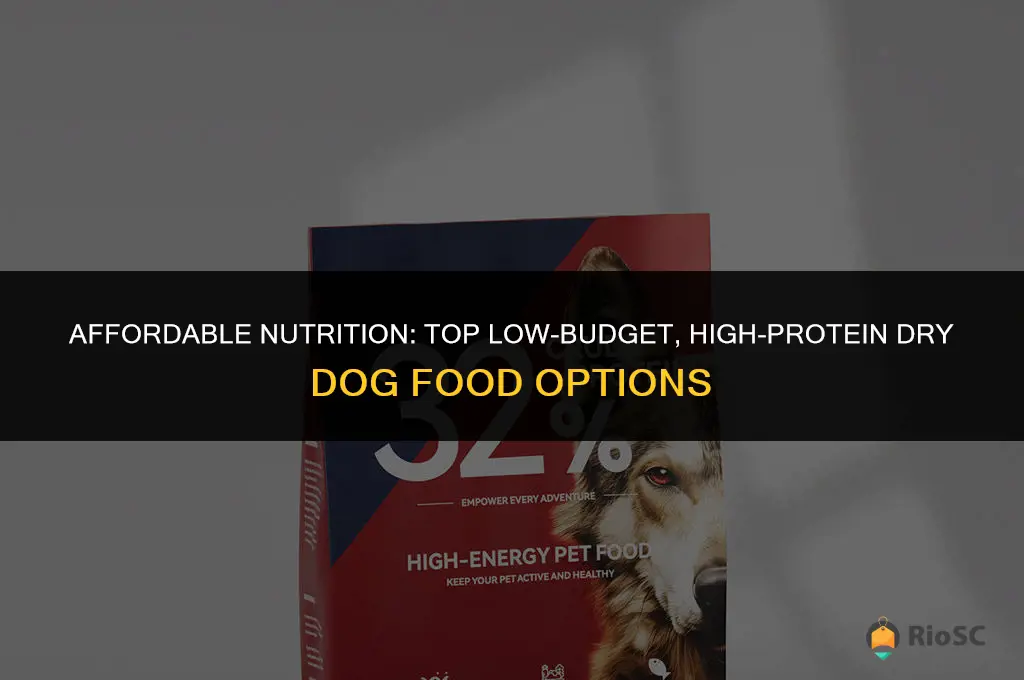 5 best low budget high protein dry dog food