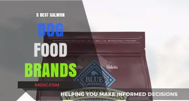 Top Salmon Dog Food Brands: A Comprehensive Guide for Pet Owners